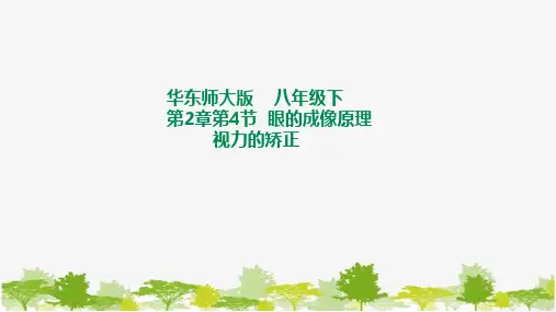 华师大八年级科学下册2-4眼的成像原理 视力的矫正