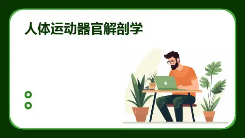 人体运动器官解剖学