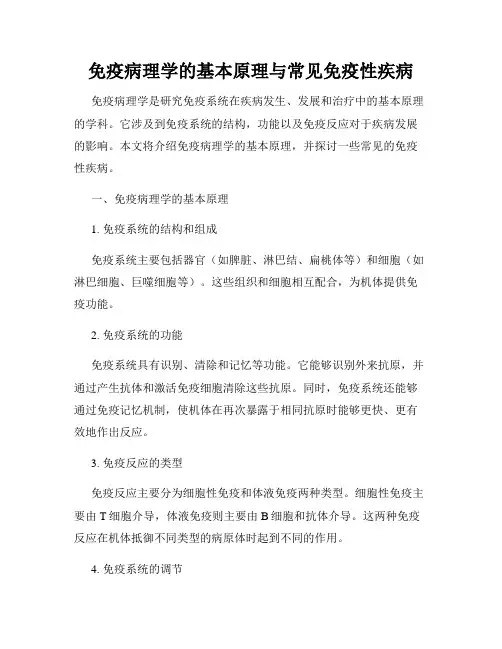免疫病理学的基本原理与常见免疫性疾病