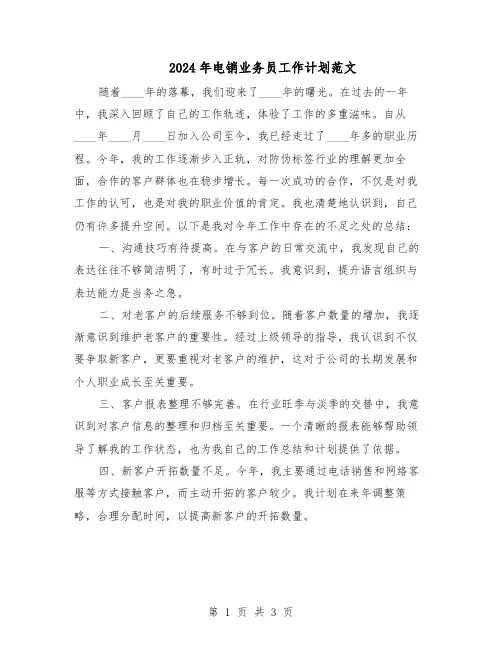 2024年电销业务员工作计划范文（二篇）