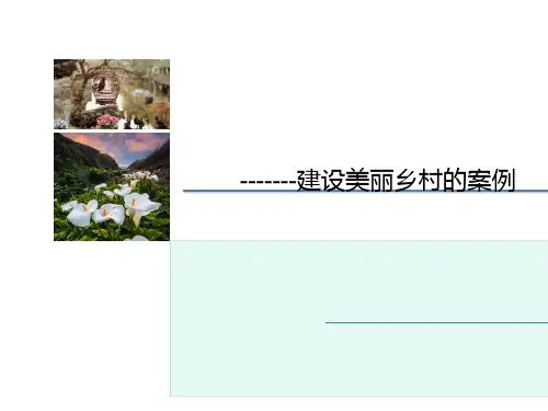 建设美丽乡村的目标及相关案例