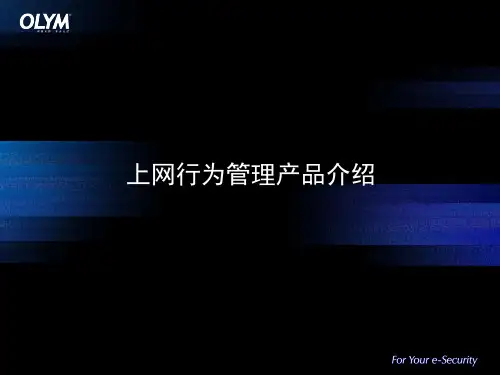 上网行为审计产品ppt课件