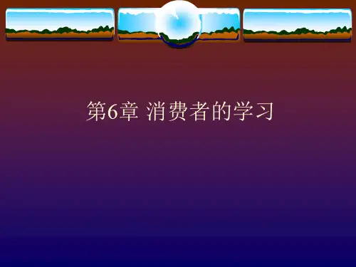 第六章  消费者的学习  《消费者行为学》PPT课件