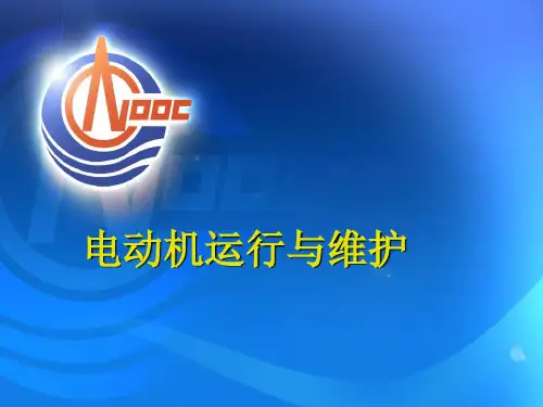 电动机运行与维护PPT课件