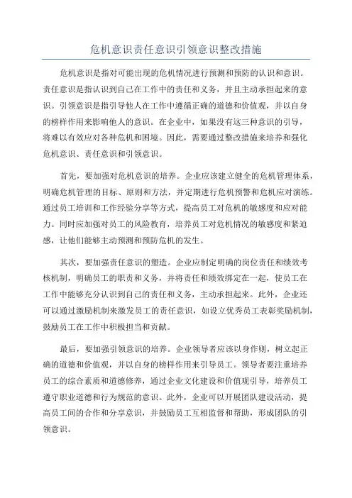 危机意识责任意识引领意识整改措施