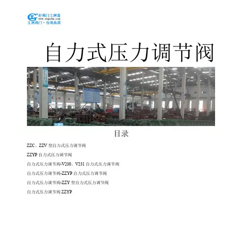自力式压力调节阀