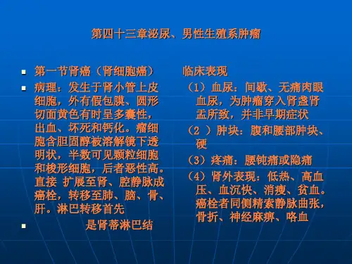 第四十三章泌尿、男性生殖系肿瘤ppt课件