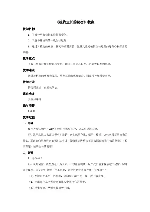 《植物生长的秘密》教案