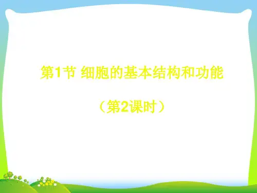 细胞的基本结构和功能-课件