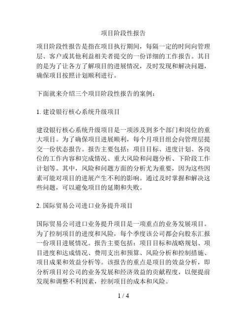 项目阶段性报告