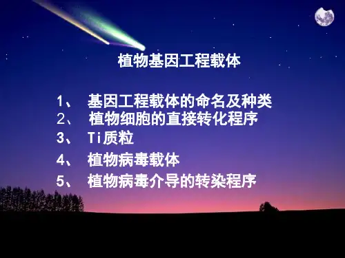 植物基因工程载体