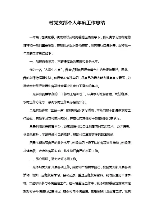 村党支部个人年度工作总结
