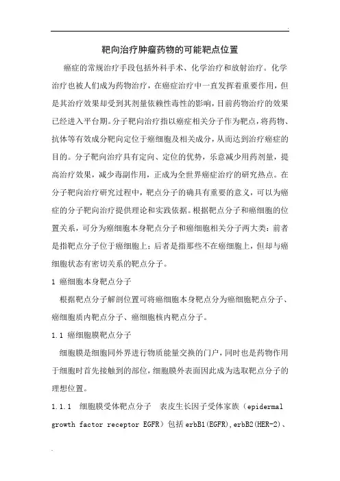 靶向治疗肿瘤药物的可能靶点位置