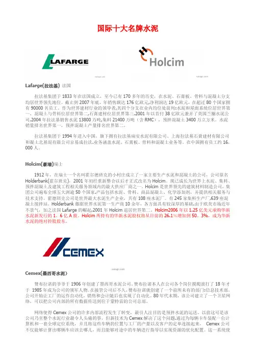 国际十大名牌水泥---精品管理资料