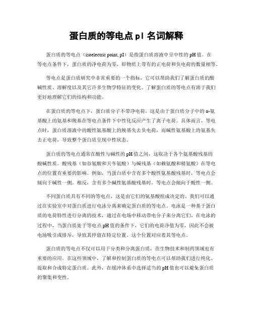 蛋白质的等电点pl名词解释