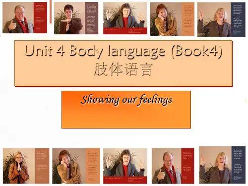 高中英语 Book4 Unit4body language 说课课件 新人教必修4(通用)
