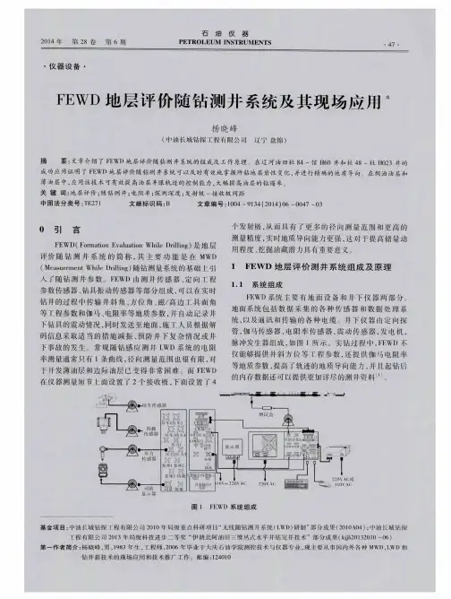 FEWD地层评价随钻测井系统及其现场应用