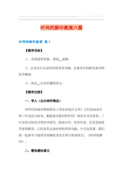 时间的脚印教案六篇