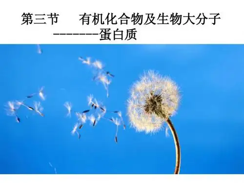 2014浙江省湖州高中生物公开课课件：有机化合物及生物大分子—蛋白质