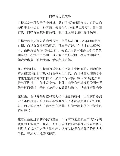白桦茸历史故事