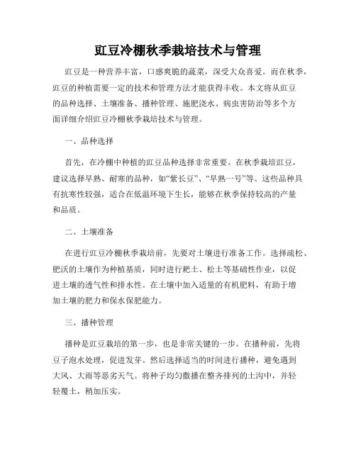 豇豆冷棚秋季栽培技术与管理