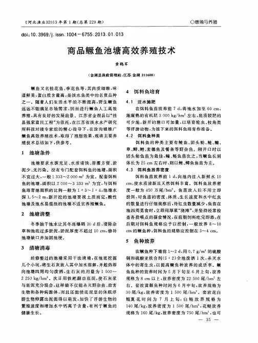 商品鳜鱼池塘高效养殖技术