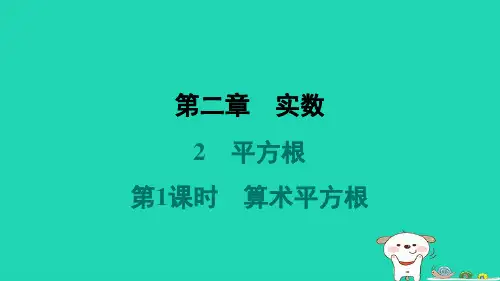 2024八年级数学上册第二章实数2平方根第1课时算术平方根习题课件新版北师大版