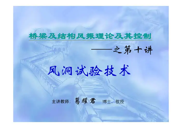 第十讲 风洞试验技术