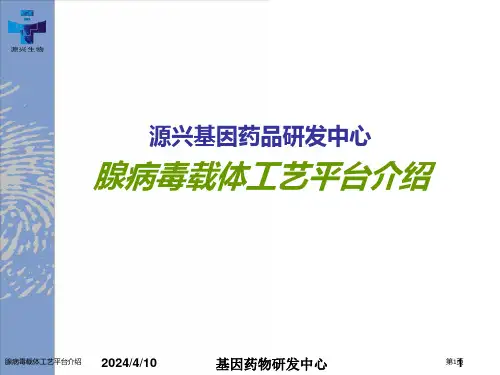 腺病毒载体工艺平台介绍