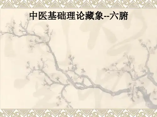 中医基础理论藏象--六腑ppt课件