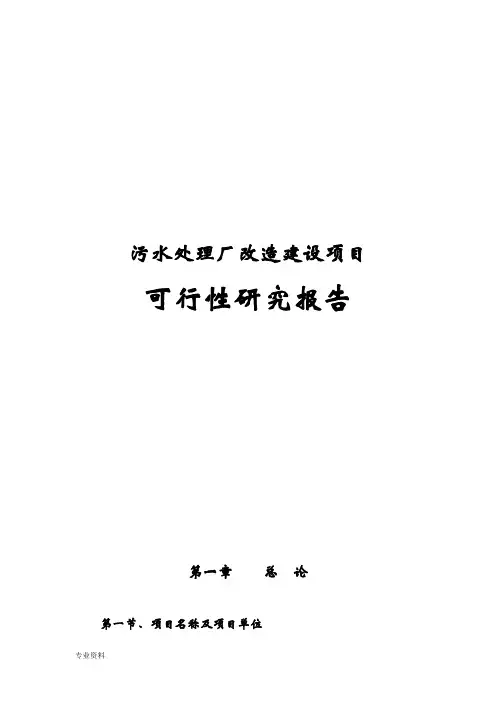 污水处理厂改造项目可行性研究报告