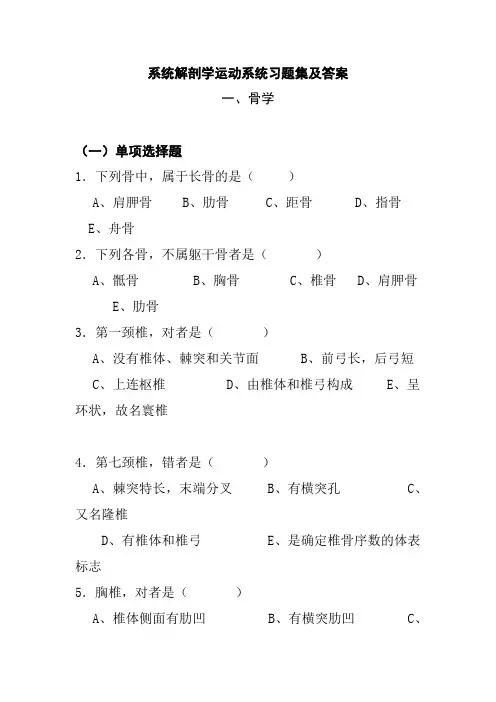 系统解剖学运动系统习题集及答案