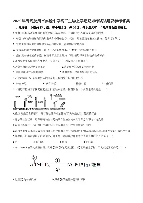 2021年青岛胶州市实验中学高三生物上学期期末考试试题及参考答案