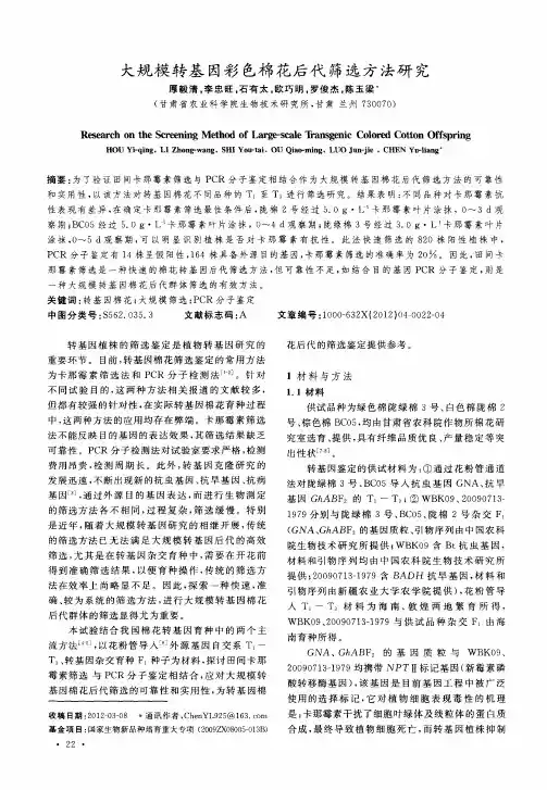 大规模转基因彩色棉花后代筛选方法研究