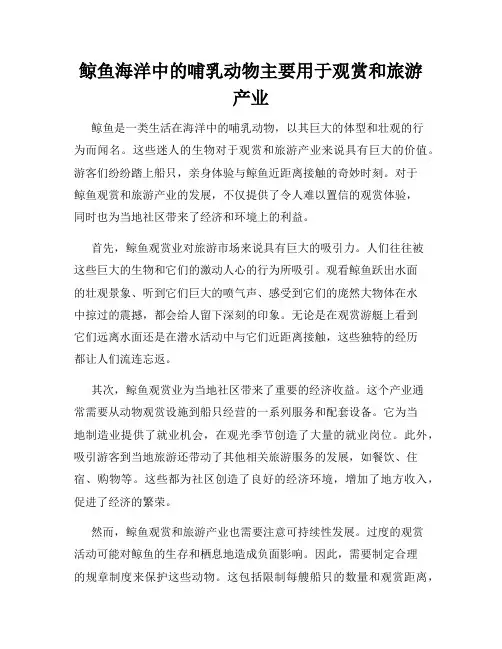 鲸鱼海洋中的哺乳动物主要用于观赏和旅游产业
