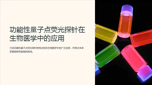 功能性量子点荧光探针在生物医学中的应用