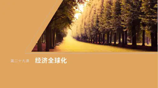 高考政治部编版一轮复习(选择性必修一)课件第二十九课课时1走进经济全球化