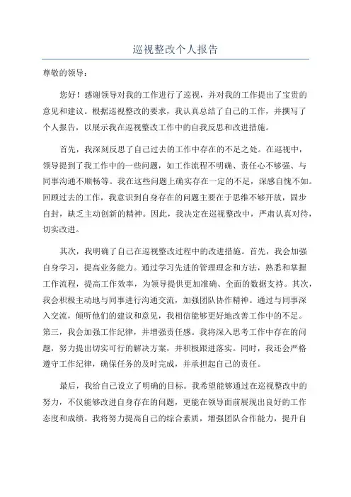 巡视整改个人报告