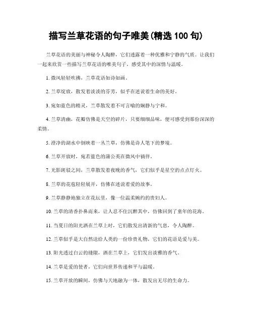 描写兰草花语的句子唯美(精选100句)
