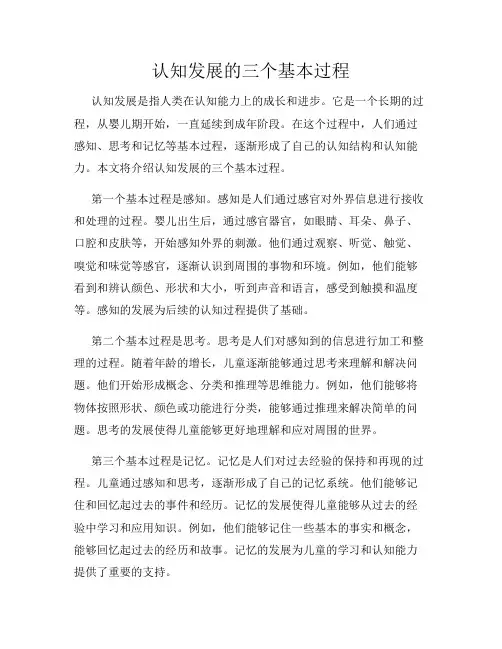 认知发展的三个基本过程