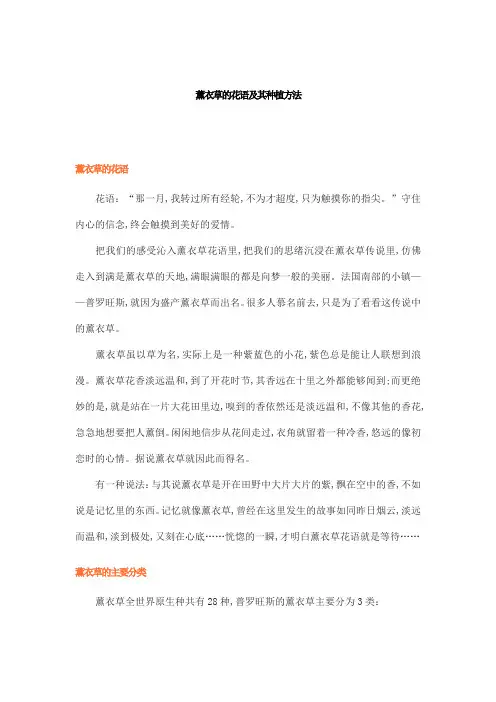 薰衣草的花语及其种植方法