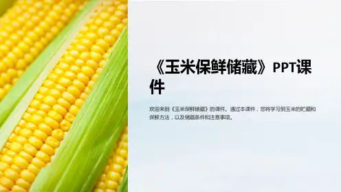 《玉米保鲜储藏》课件