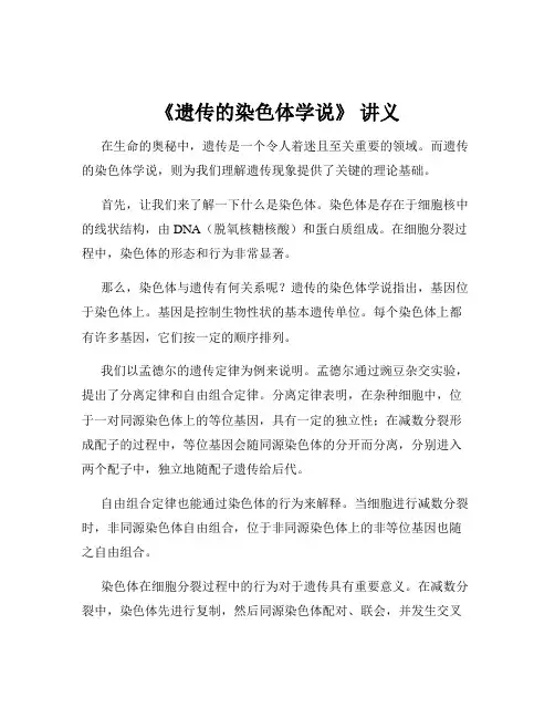 《遗传的染色体学说》 讲义