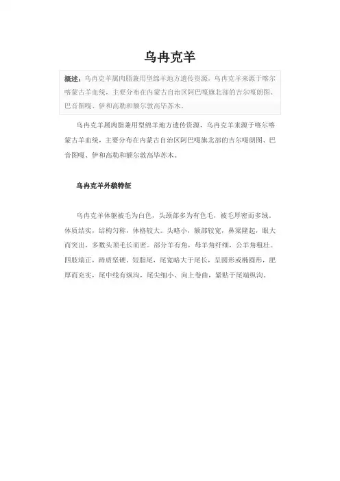 乌冉克羊