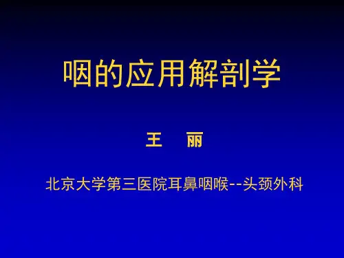 咽喉解剖