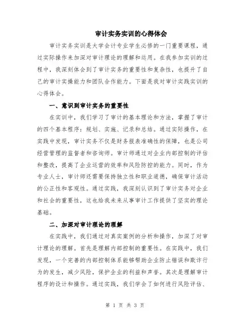 审计实务实训的心得体会