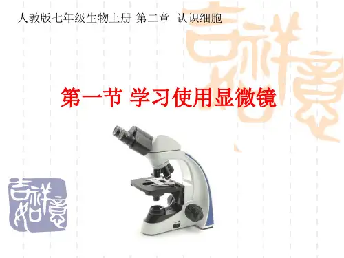 人教版七年级生物上册第二章第一节：学习使用显微镜