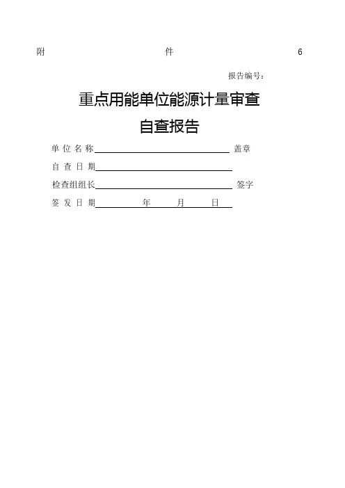 重点用能单位能源计量审查自查报告