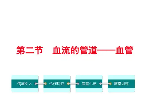 人教部编版七年级生物下册  4.4.2血流的管道——血管课件(共24张PPT)