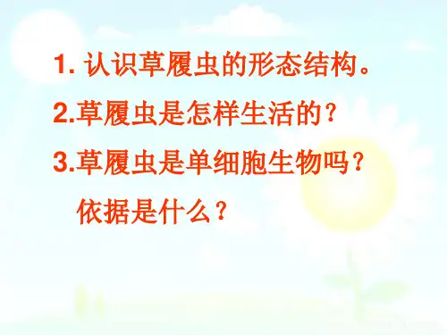 单细胞生物体课件